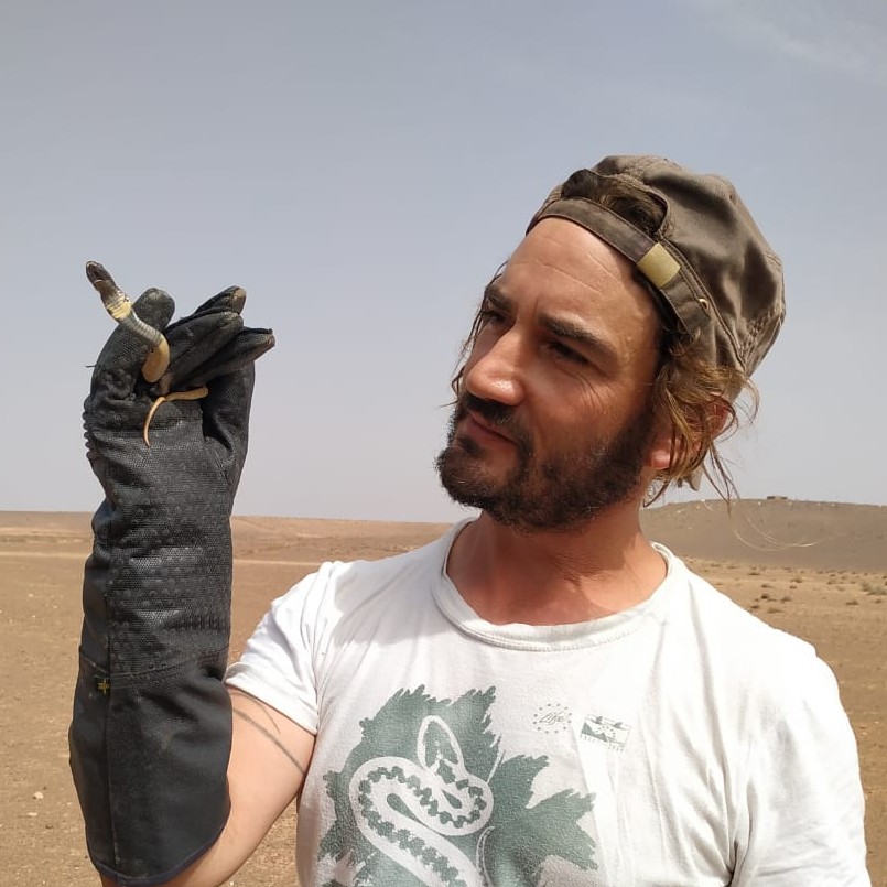 Fernando Martínez-Freiría